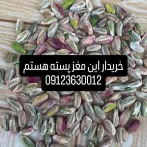 محصول نمونه 6